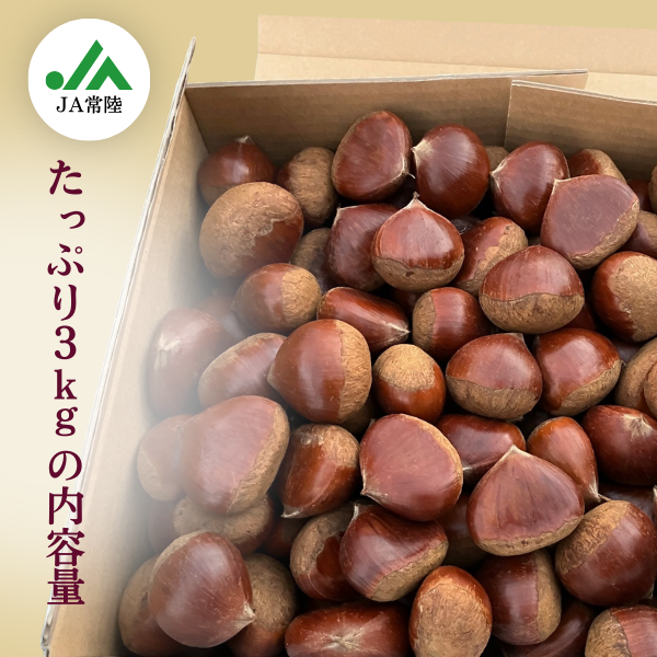 笠間栗〜甘さ引き出す冷蔵貯蔵のブランド栗〜【期間限定 12月21日まで