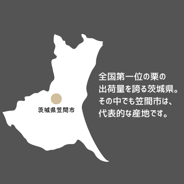 笠間栗〜甘さ引き出す冷蔵貯蔵のブランド栗〜【期間限定 12月21日まで