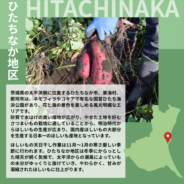紅はるか ほしいも☆彡平干し【茨城県ひたちなか地区産】 | 茨城の名