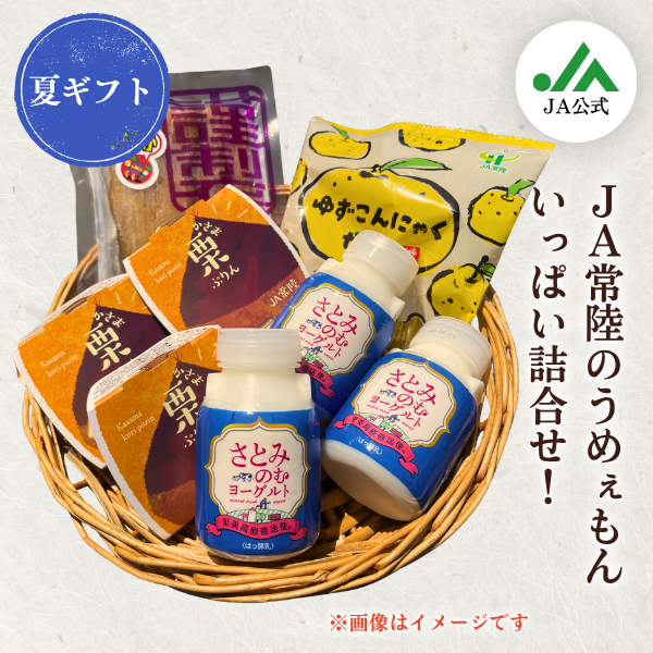 【夏ギフト】JA常陸のギフトセット