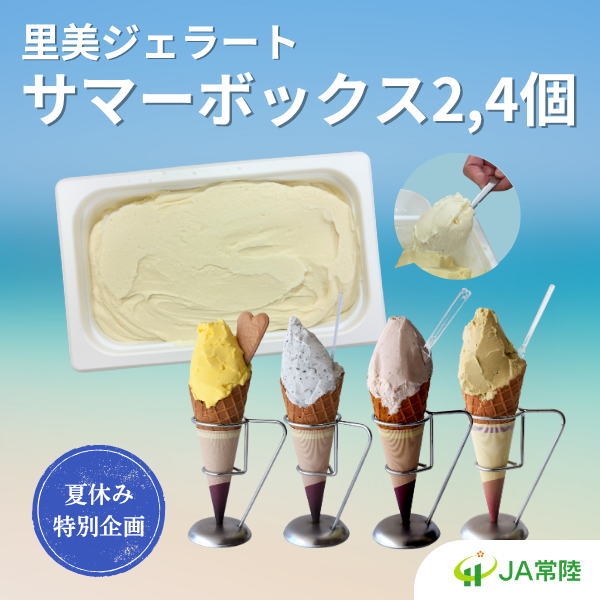 【夏休み特別企画】里美ジェラート サマーボックス（２L）　2個・4個の商品画像 1