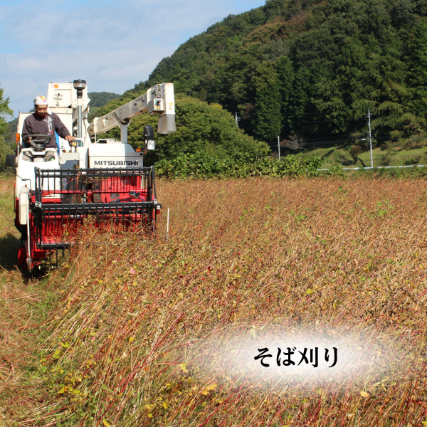 竜神そば（夏ギフト） | 茨城の名産品の産直お取り寄せならJA常陸公式