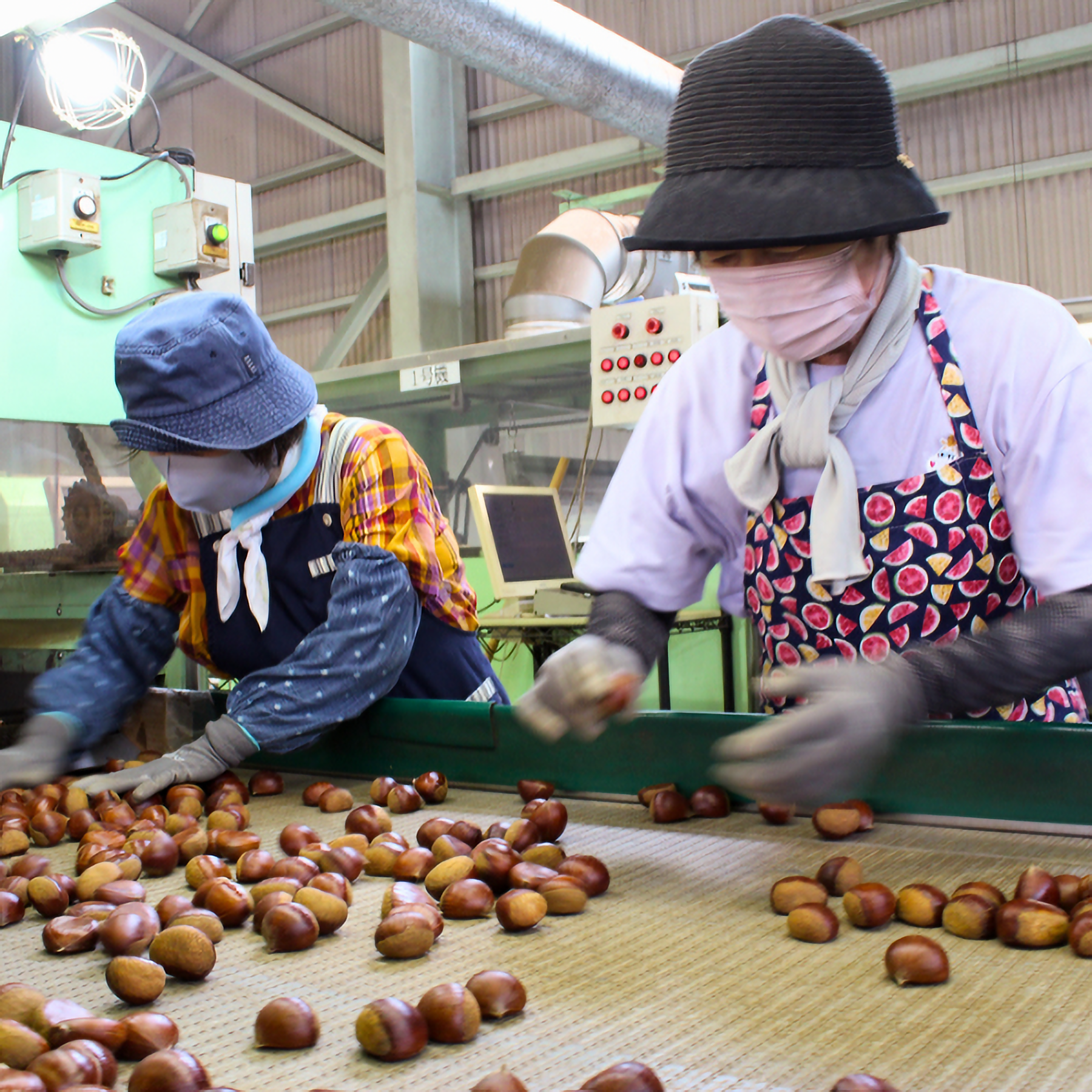 笠間栗プリン | 茨城の名産品の産直お取り寄せならJA常陸公式