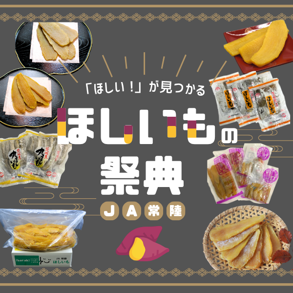 訳あり ほしいも（干し芋）☆彡紅はるかの平干し【茨城県ひたちなか